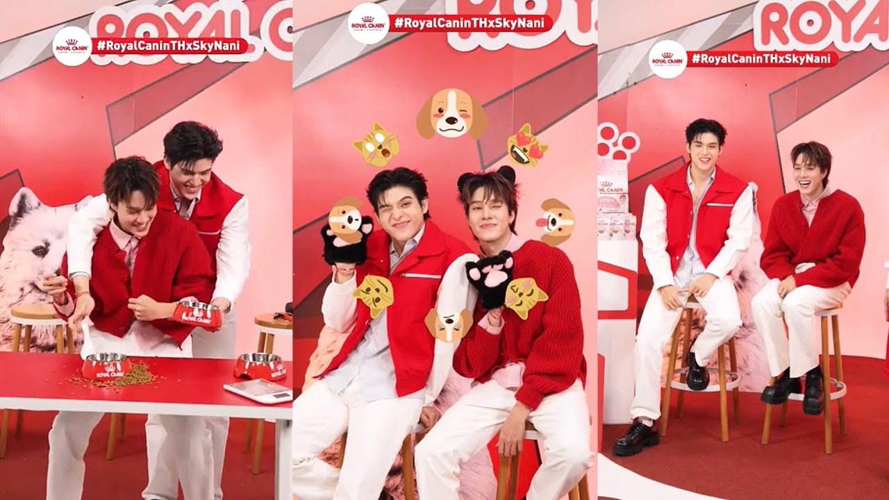250605 Royal Canin Thailand | TikTok Live - 6.6 Live แจกดีลคุ้มกับ สกายนานิ 🐶🐱 #RoyalCaninTHxSkyNani