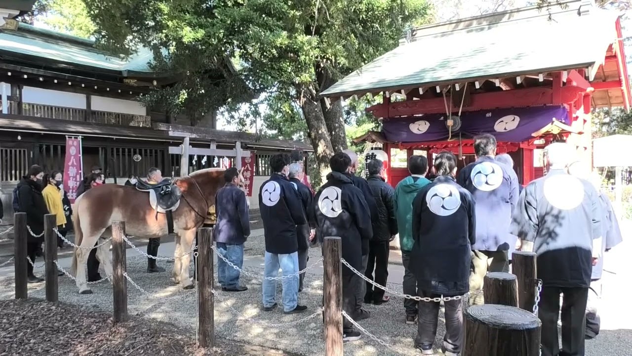 2026 3 8　白岡市　白岡八幡神社　例大祭　馬寄祭