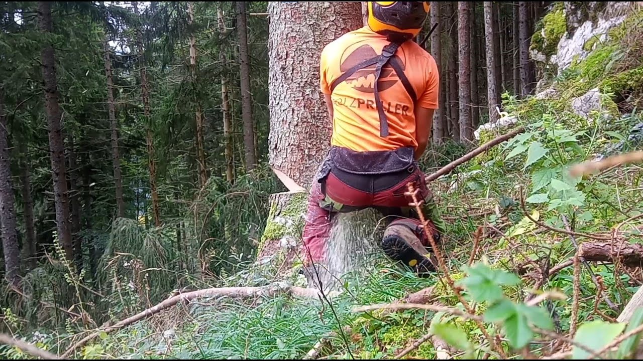Eine schöne Yarder-Baustelle
