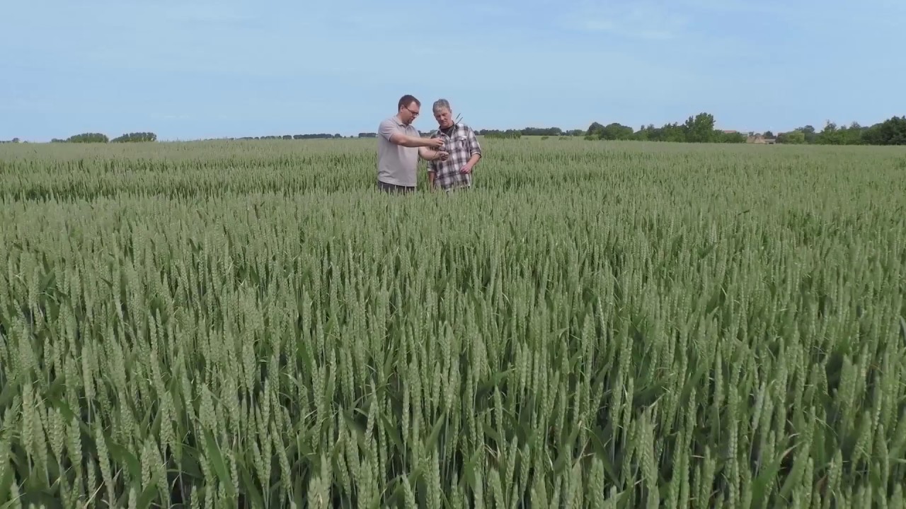 Cyfrowa uprawa roślin z Agricon