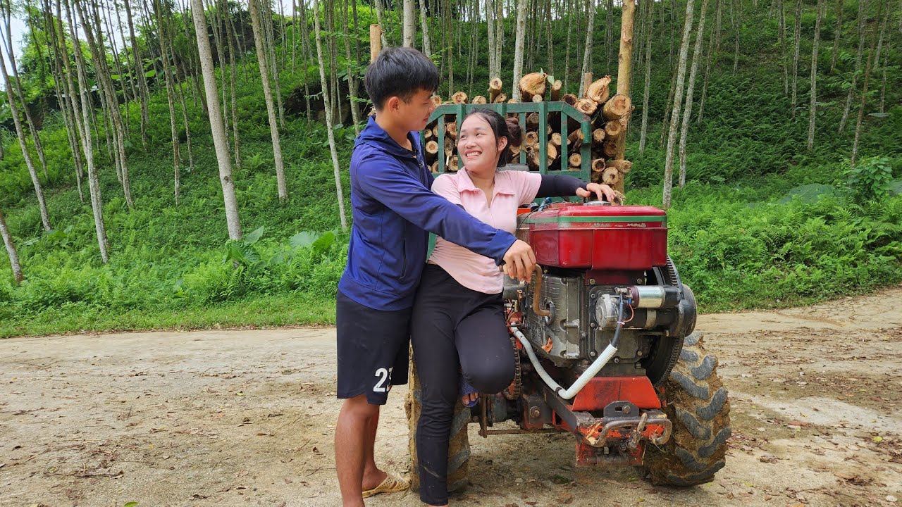 Special video, 100 days of agricultural vehicles transporting wood, purchasing and exploiting wood