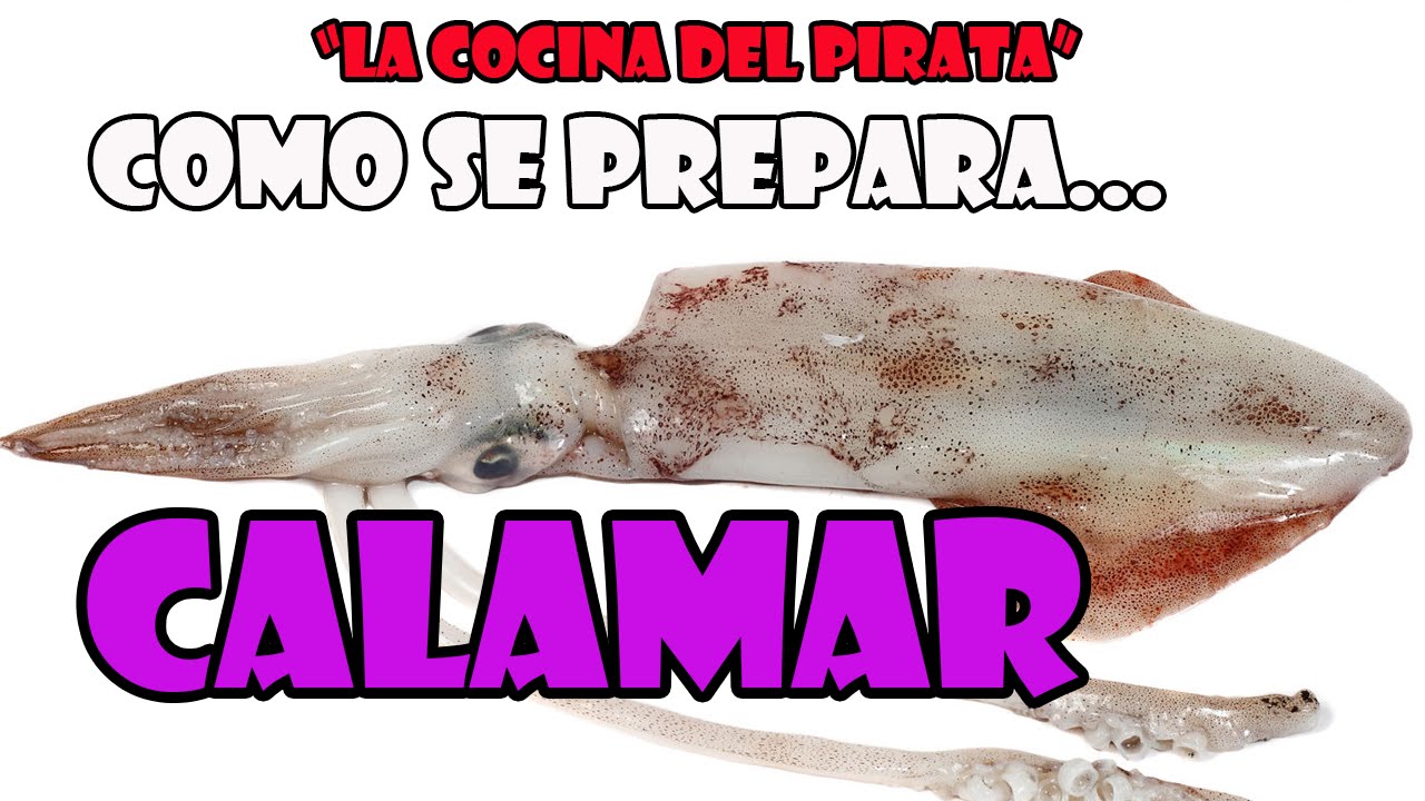 COMO LIMPIAR UN CALAMAR PASO A PASO