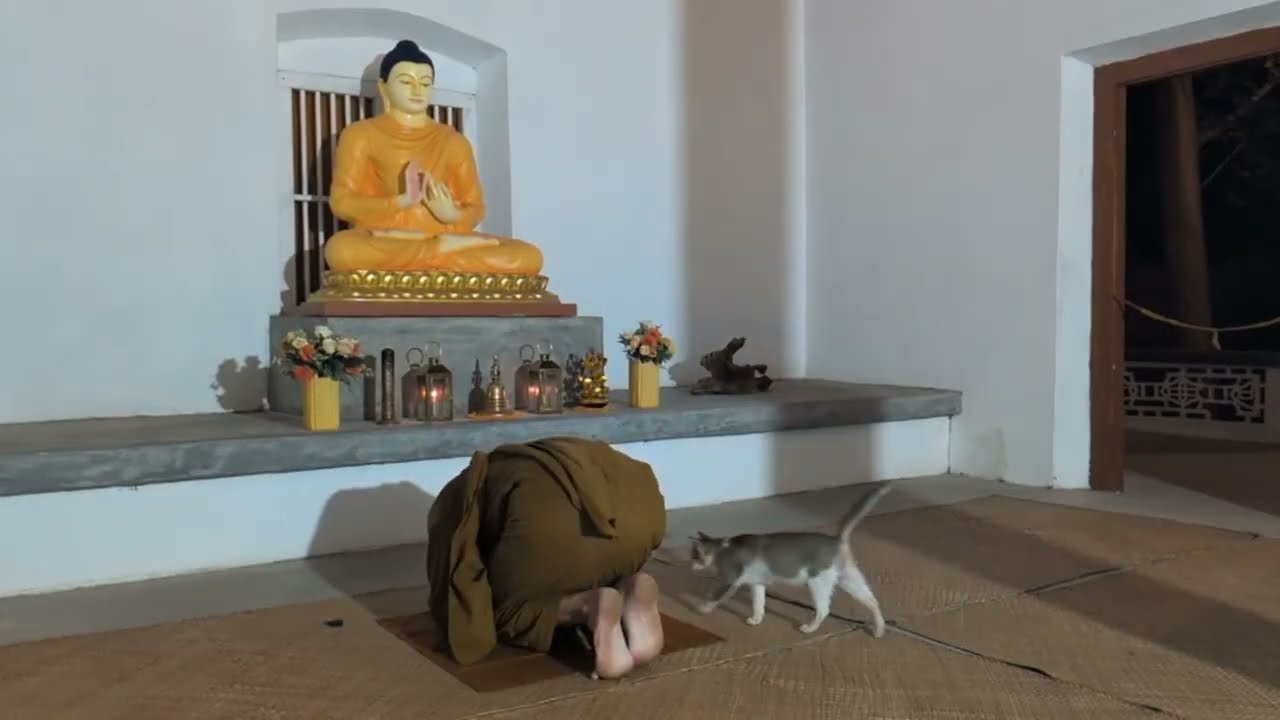 Karaniya Mettā Sutta DAILY BUDDHIST CHANTING, MEDITATION & BLESSINGS