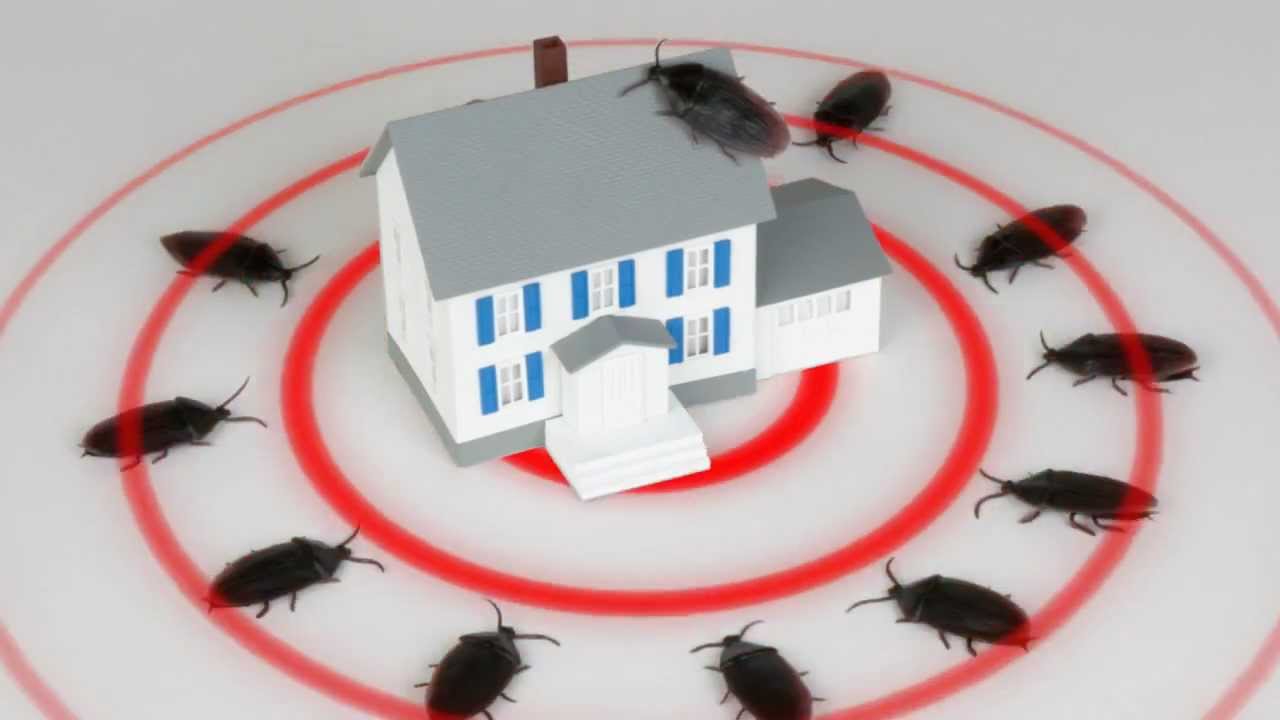 Fort Worth Pest Control & Keller Pest Control