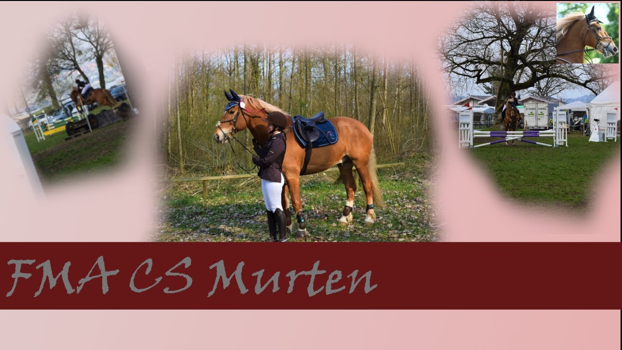 FMA Cs Murten | Turnier #1/2019 | Leming CH