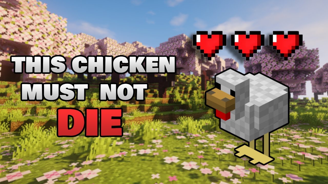 If The Chicken Dies I DIE