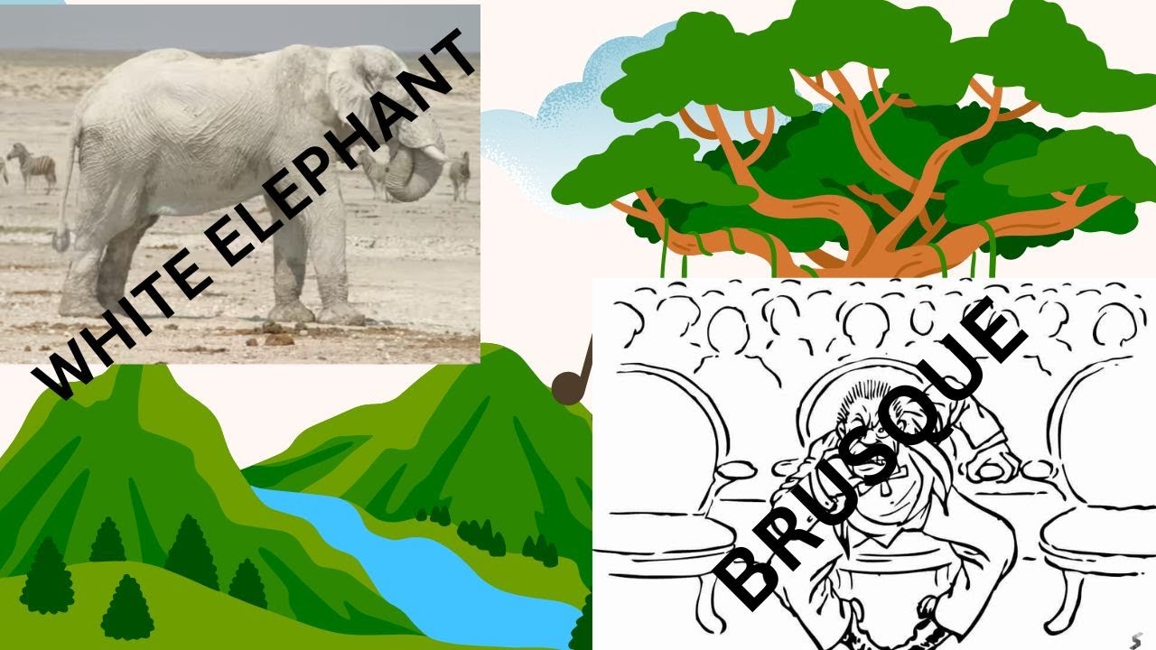 BRUSQUE AND WHITE ELEPHANT