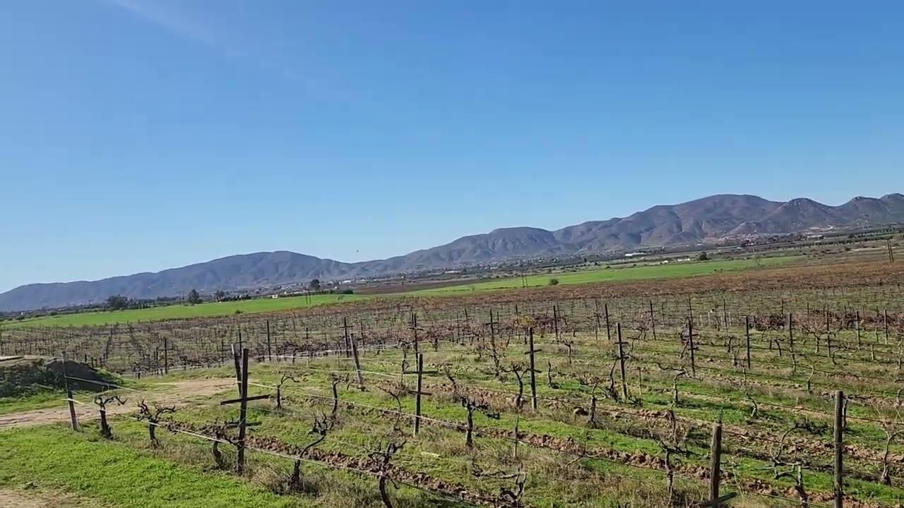 El campo de ruta de valle guadalupe