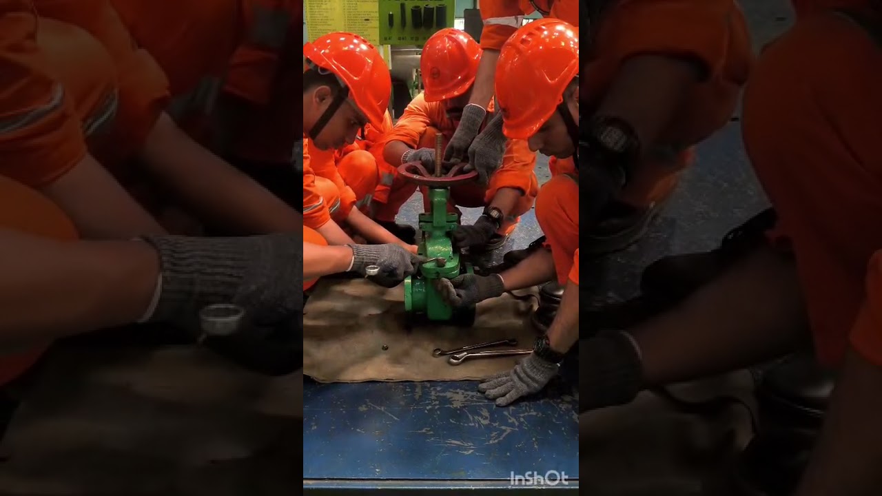 Dismantling/Overhauling of Gate valve