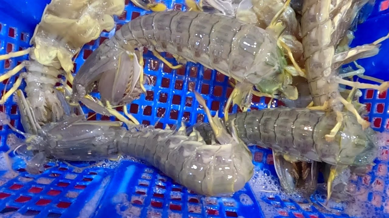 Explore inside the largest fish market in Vietnam