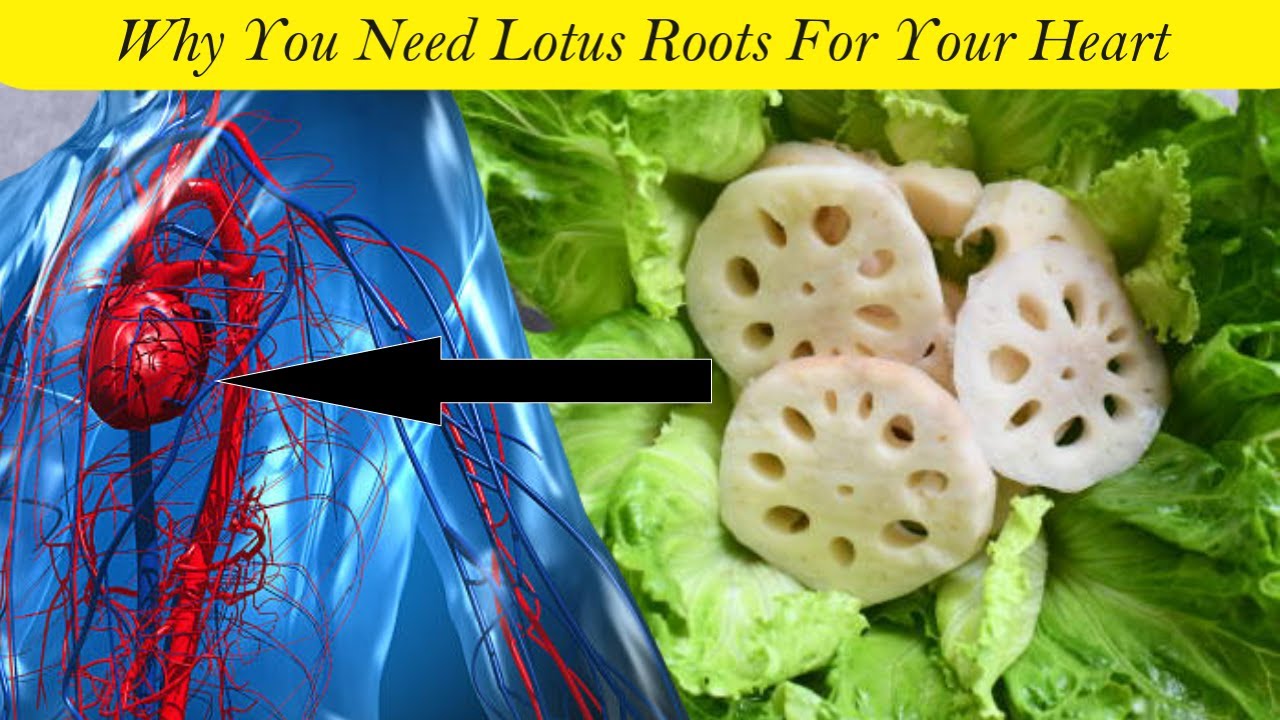 Lotus Root Amazing benefits of lotus root