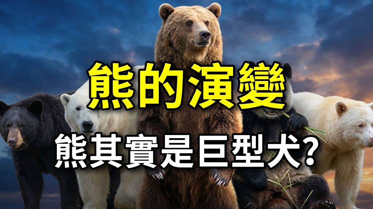 为什麼說「熊是由類似狗的動物演化而來」是個大誤會？#生物演化#古生物#冷知識#科普#自然科學