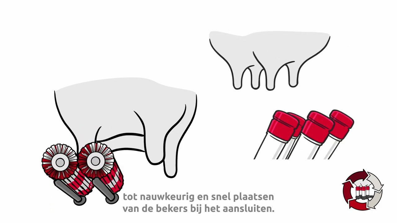 Complete melking: Paul Peetz legt uit waarom het cruciaal is én hoe je het goed doet