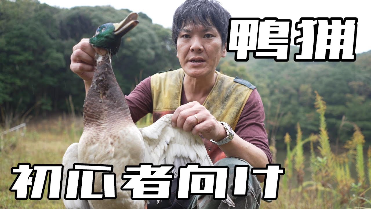単独鴨猟を初心者向けに解説してみます
