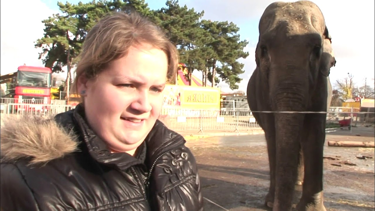 Je passe mes vacances au cirque