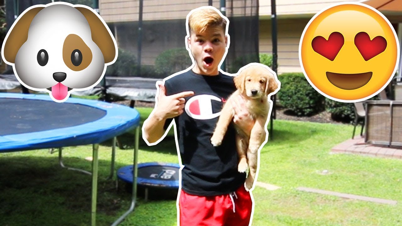 I GOT A NEW PUPPY! *SO CUTE*
