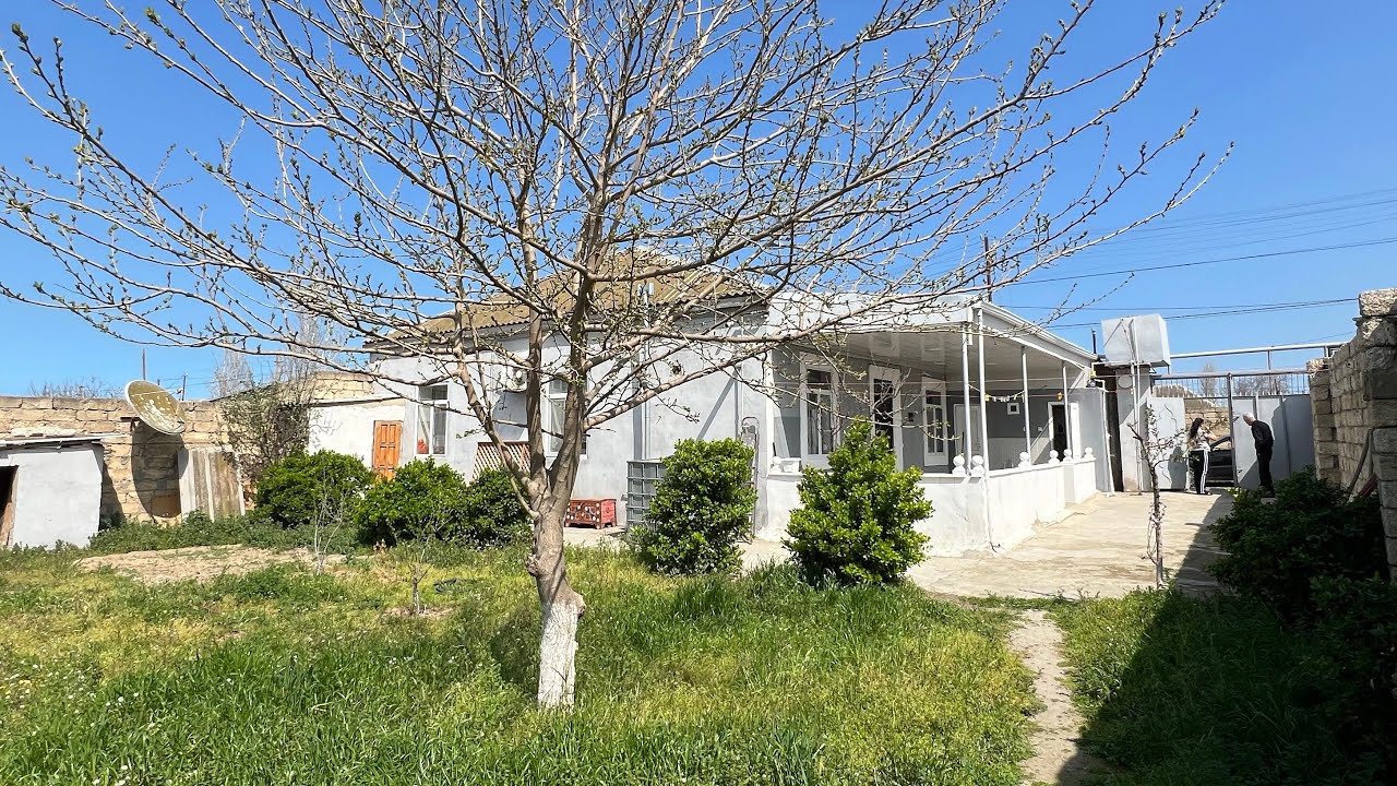 Buzovna yolunda 6 sotda şexsi tikili yaşayişli heyet evleri satilir📲055-814-04-66 Gülnar