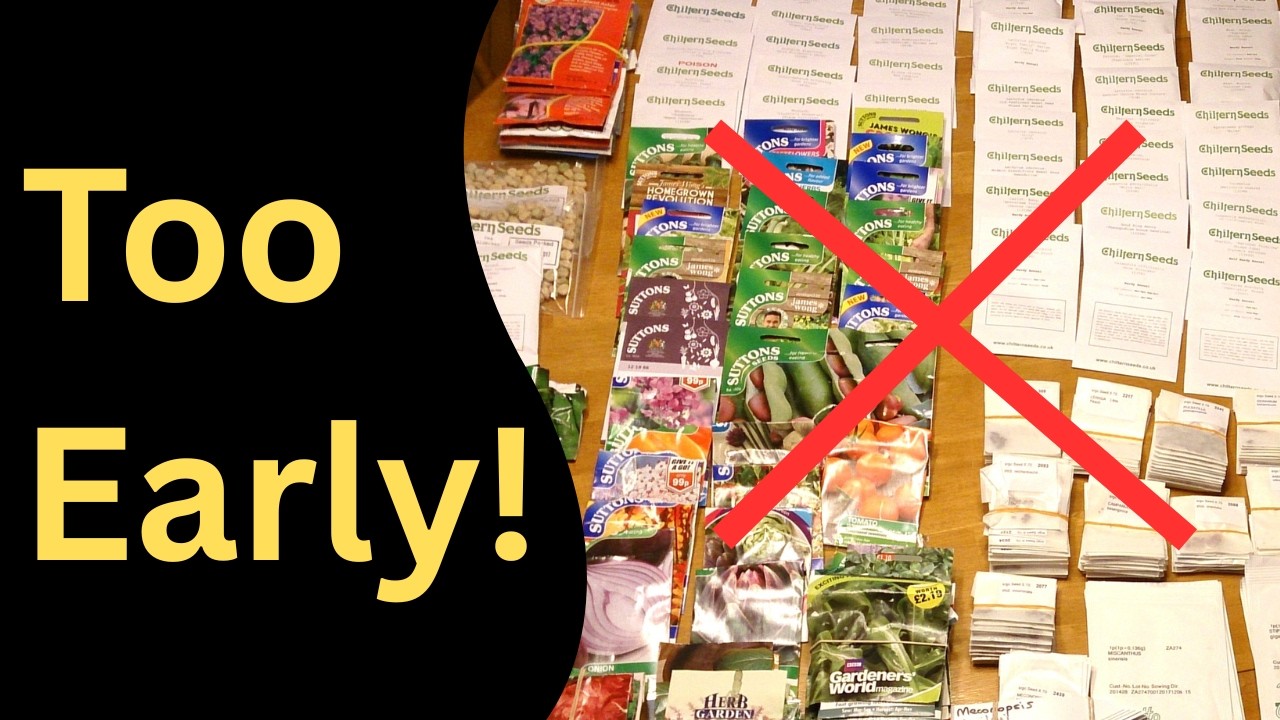 Ep 38 Seeds You Should Not Sow in February  | And the Fleece Finally Comes Off