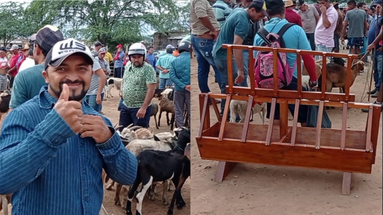 BAIXIN CARPINTEIRO COCHO APISCO PARA CAPRINOS PORCOS E ENTRE OUTROS ANIMAIS PORTEIRA CERCA E  BANCOS
