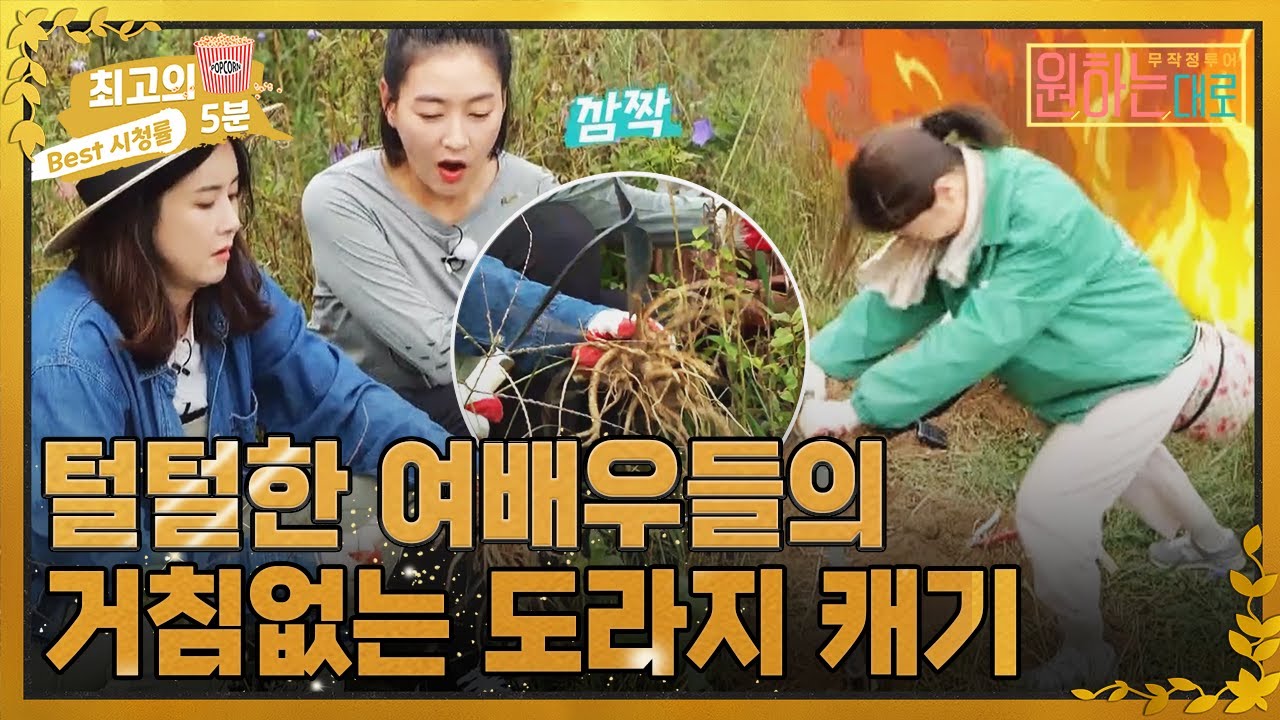 [최고의 5분_원하는대로] 털털 그 자체 여배우들의 거침없는 도라지 캐기 MBN 221006 방송