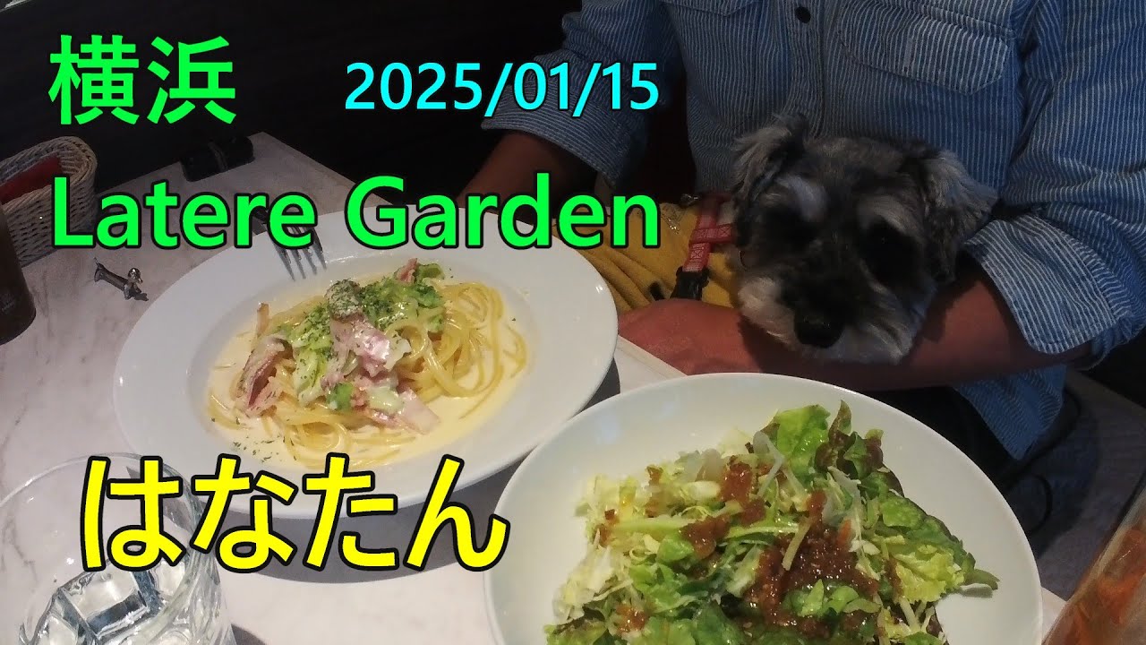 横浜 Latere Garden(ドッグカフェ) みなとみらい近く