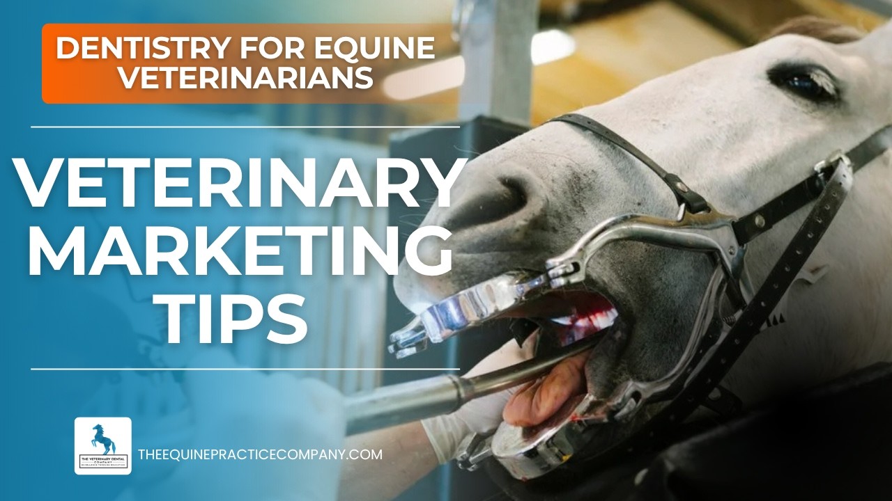 Veterinary Marketing Tips to Grow Your Equine Practice