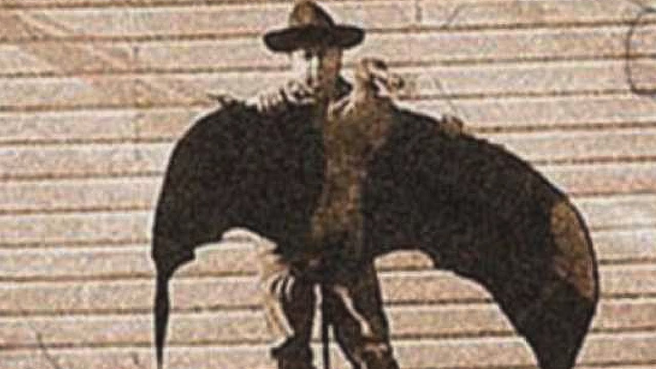 10 PHOTOS OF MYSTERIOUS CRYPTIDS