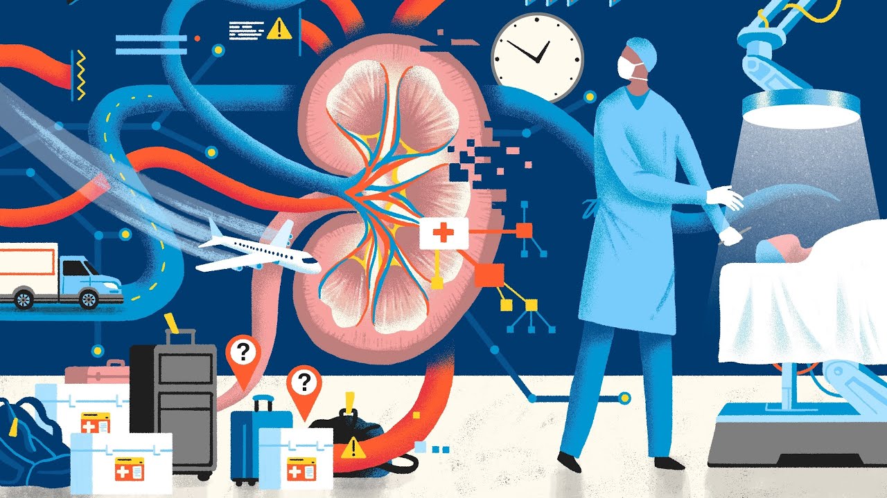 Health Disparities of Organ Transplants in America!