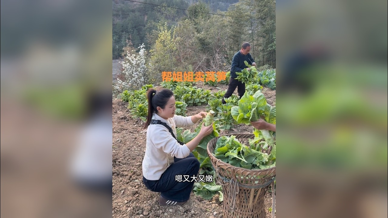 反正每天要在山里跑来跑去的，不如带上她们种的菜，看看能不能卖完吧。