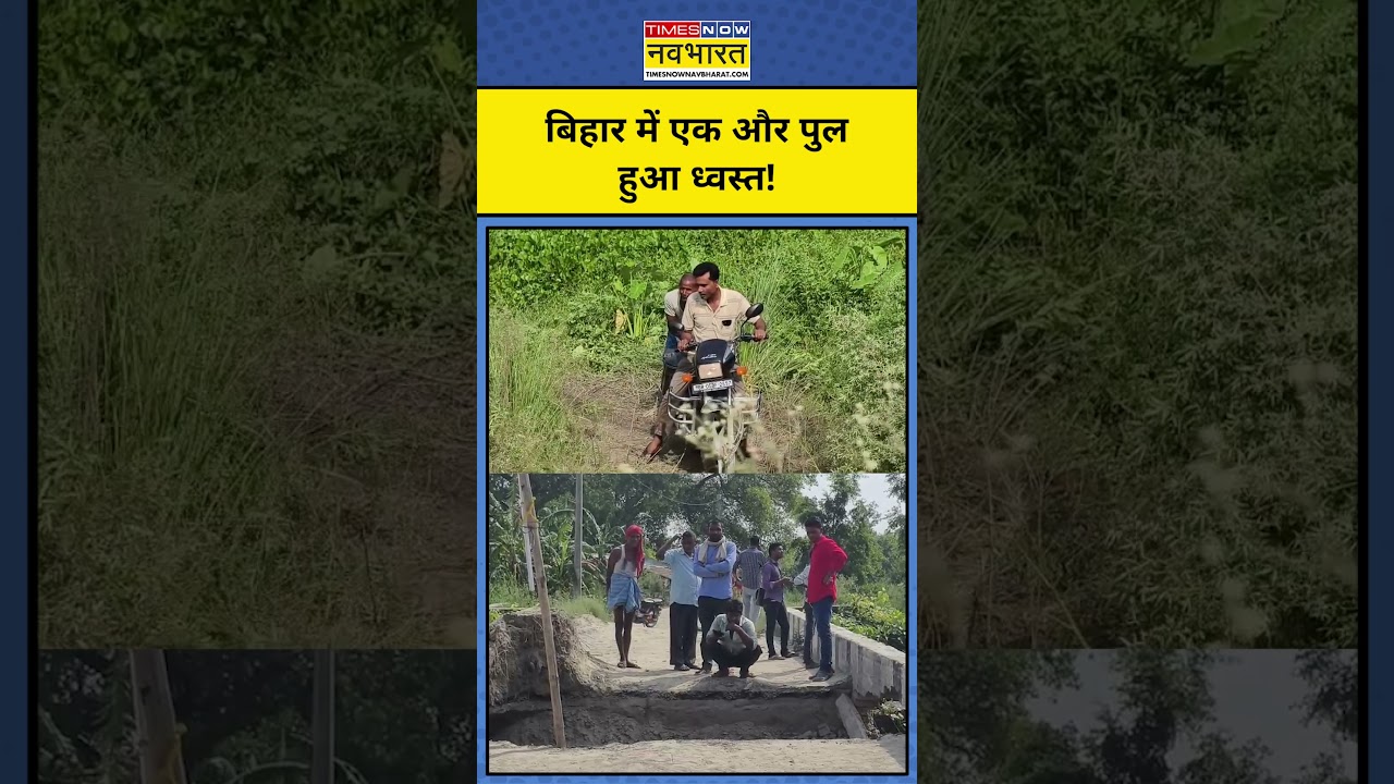 Bihar News | Bettiah News  : बिहार के बेतिया में भरभराकर गिरा पुल ! | Hindi News |  #shorts
