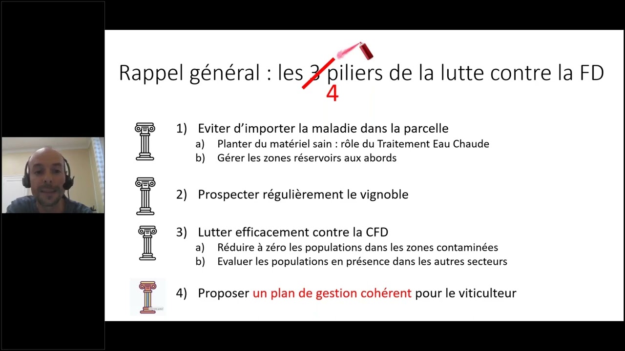 Gestion de la Flavescence Dorée, stratégies actuelles et recherches en cours