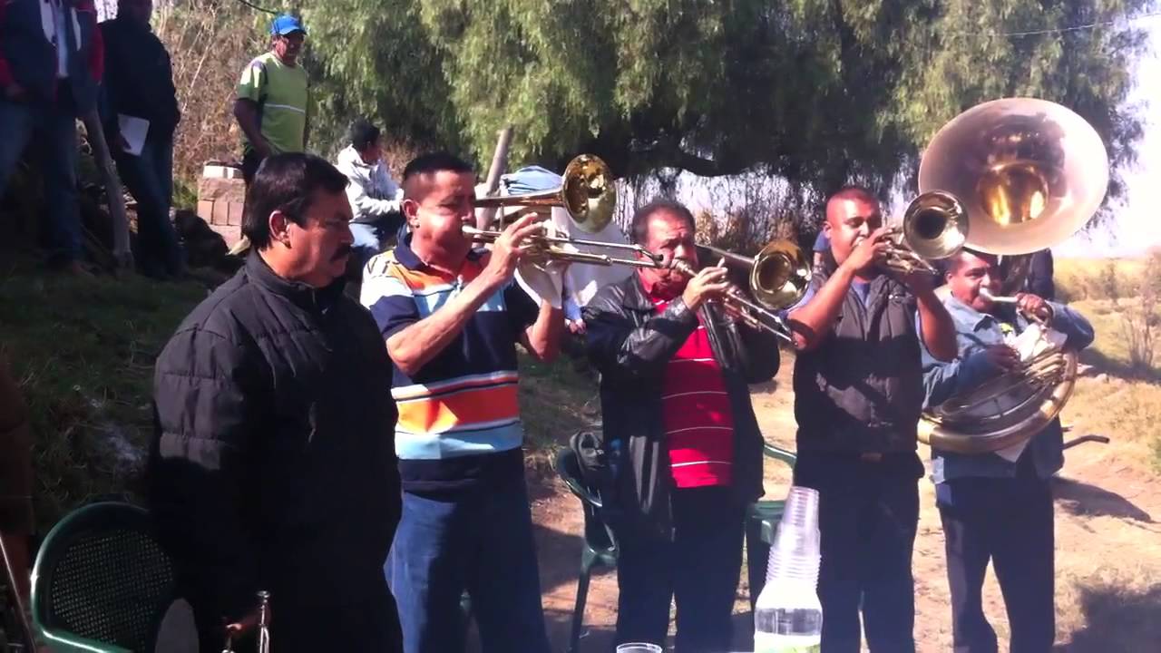La Tradicional De Mazatlan - Paloma Habanera