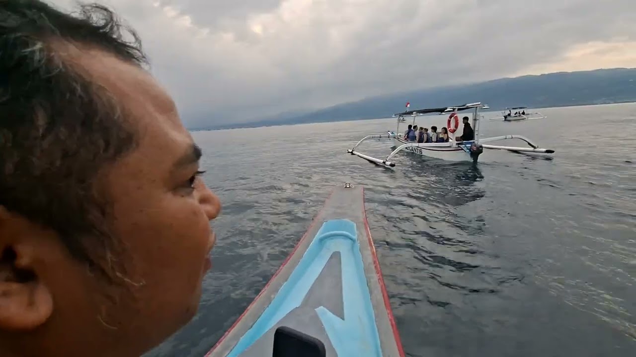 MENCARI KEBERADAAN LUMBA LUMBAA DI PANTAI LOVINA BALI