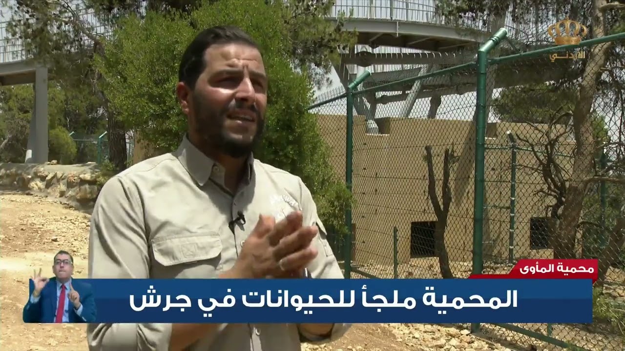 محمية المأوى | المحمية ملجأ للحيوانات في جرش