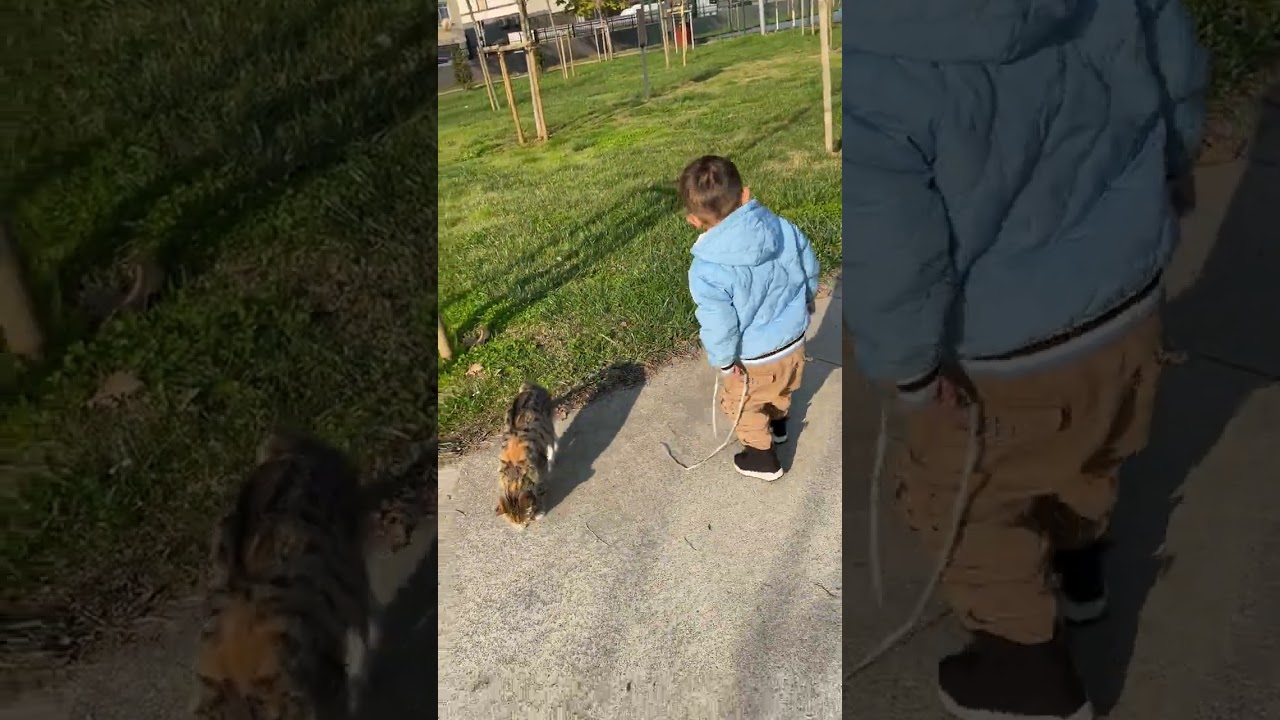 Kediyi eve götürecekmiş yiğit Efe😅