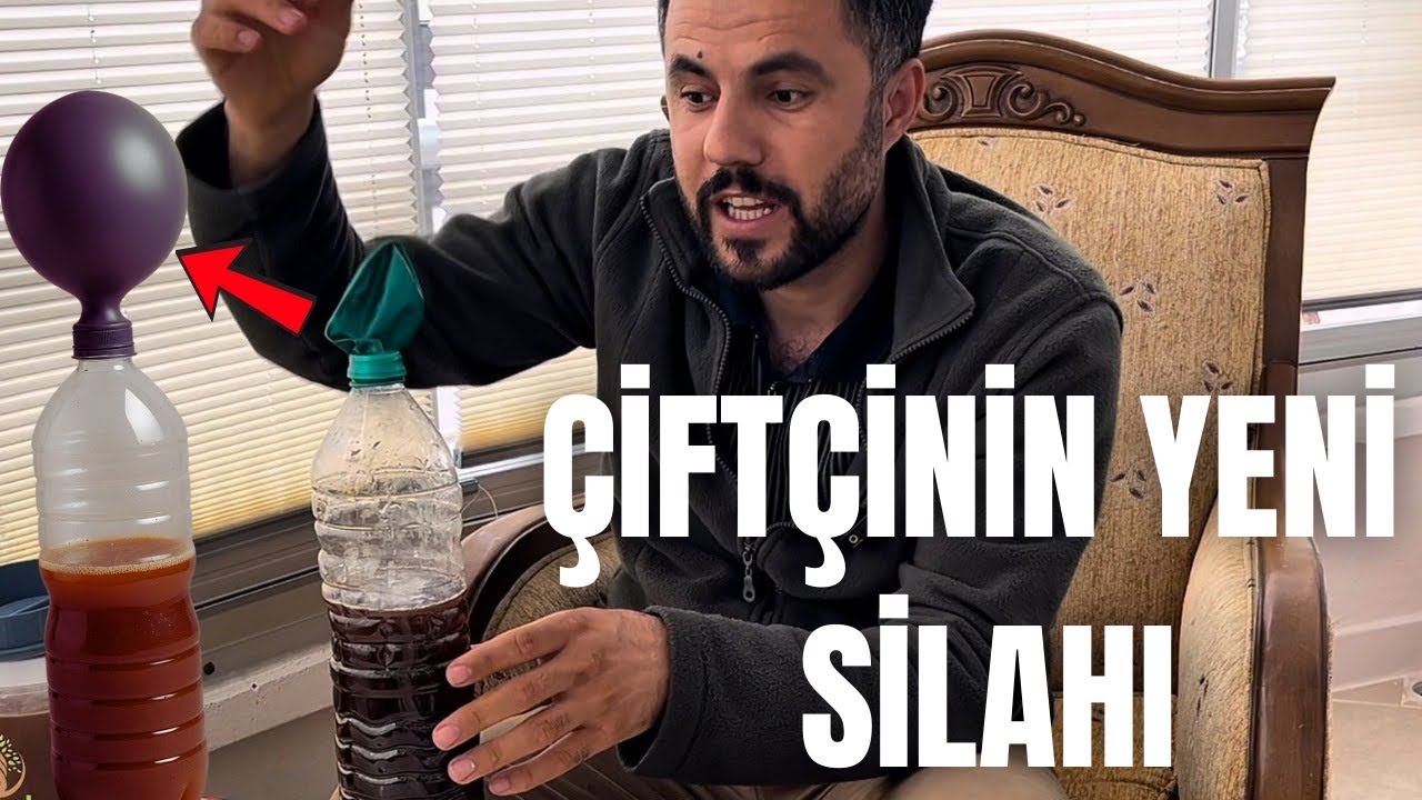 evde laktobasil serumu nasıl yapılır bokhashi kompostu