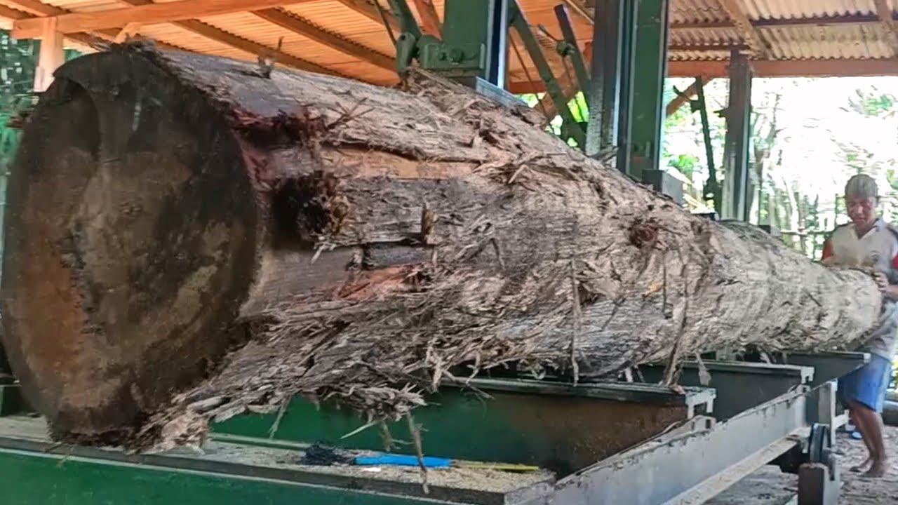 Amazingly turning long logs into nice truss beams