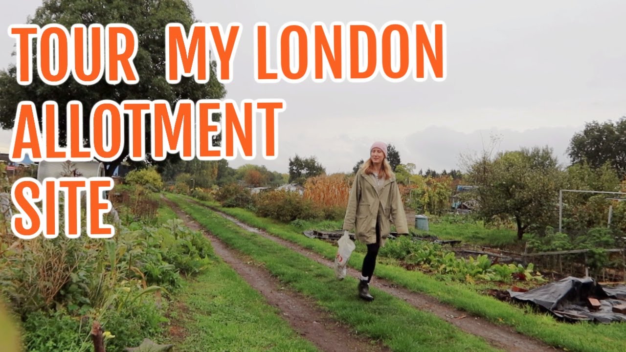 TOUR OF A LONDON ALLOTMENT SITE / ALLOTMENT GARDENING FOR BEGINNERS
