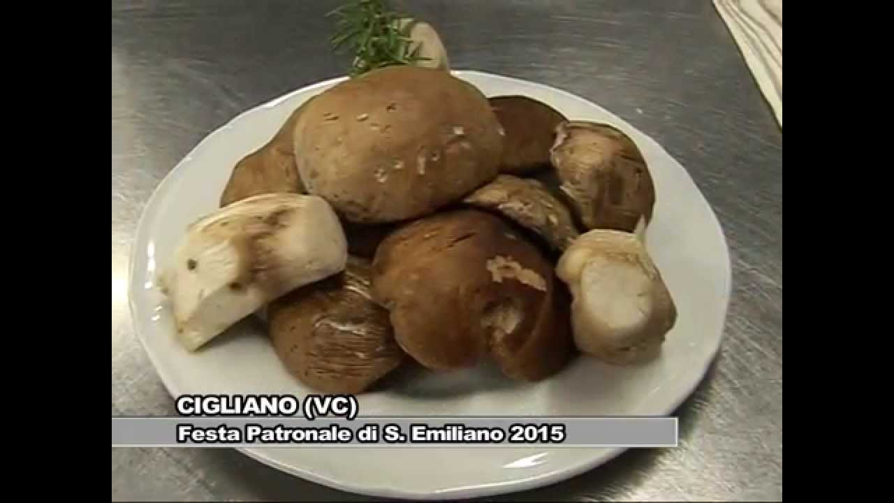 Sant'Emiliano 2015 - Cigliano