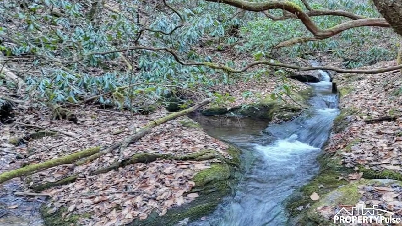 7.69ac Webb Creek Road, Andrews, NC 28901