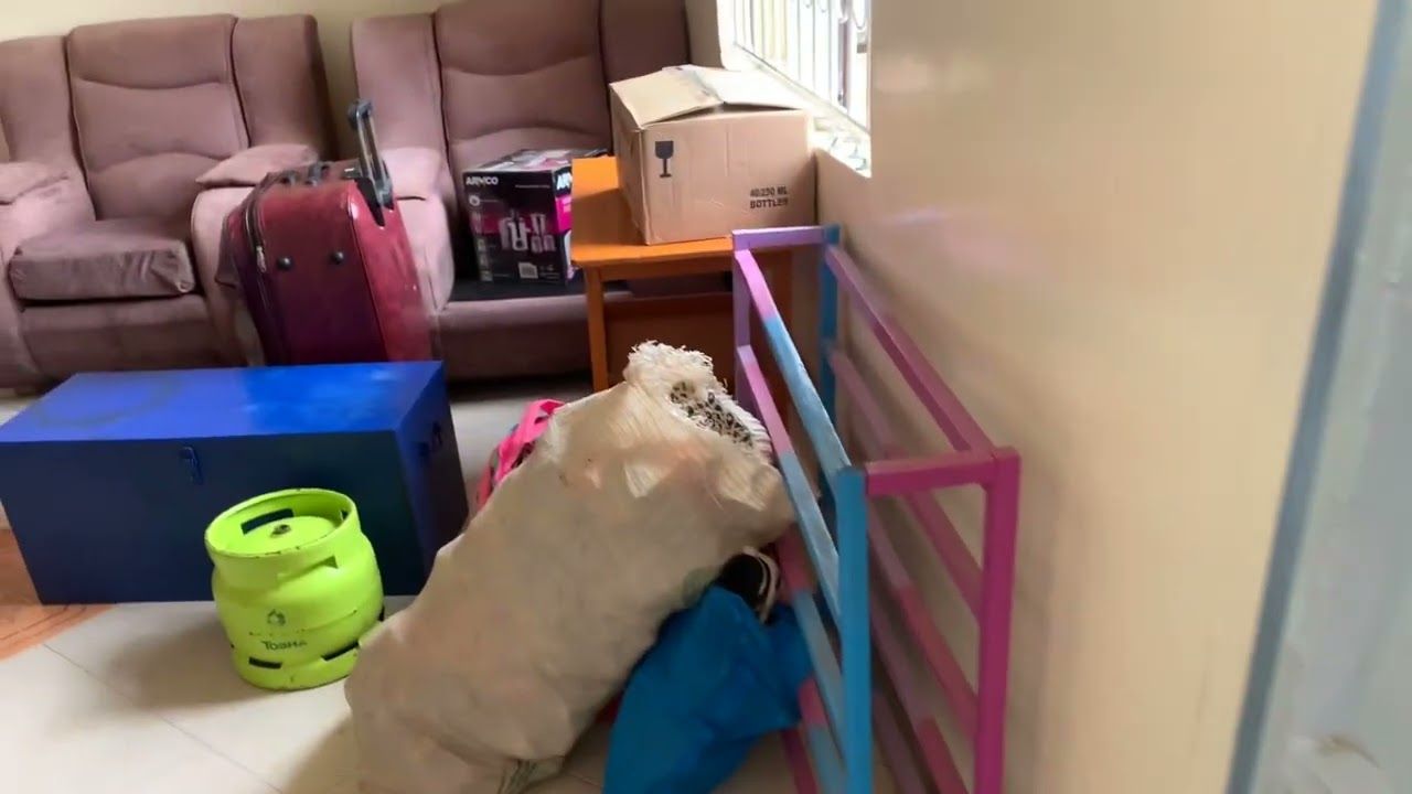 Moving Vlog