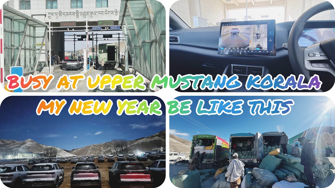 My New Year be like this ? ( What about yours ) 