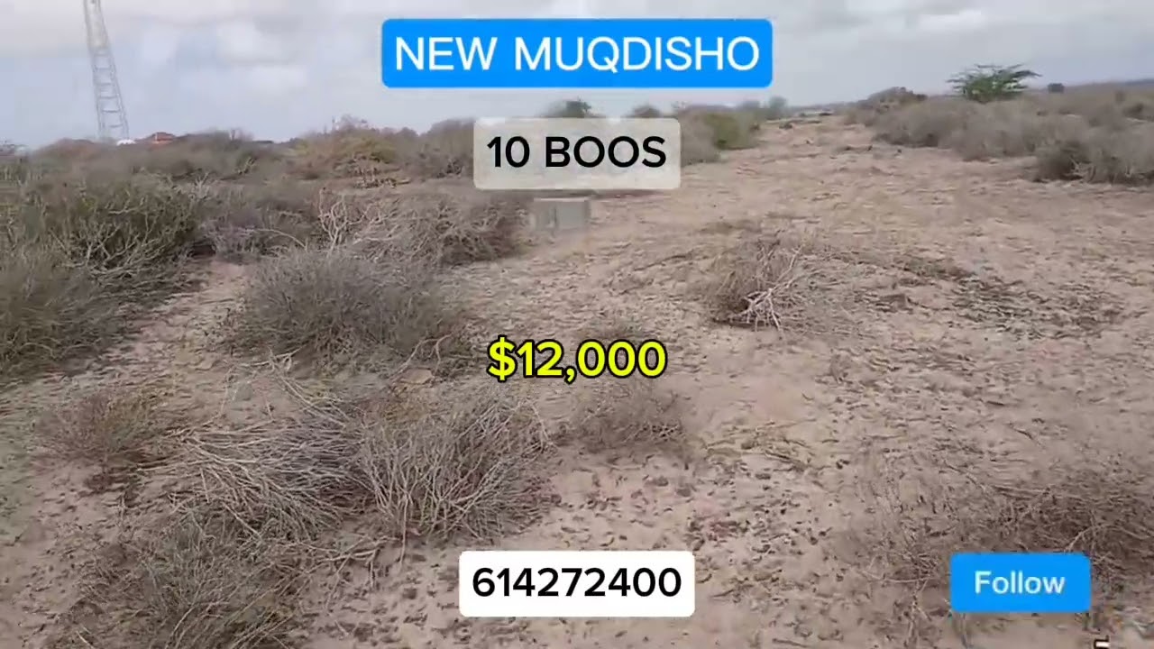 FURSAD MUHIIM AH | MAALGASHIGA DHULKA EE MUQDISHADA CUSUB 