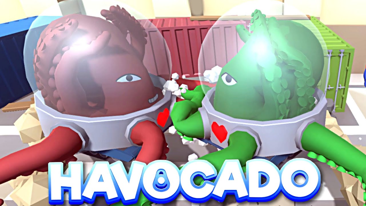 ON AFFRONTE DEUX BOSS KEVIN EN LIGNE ! HAVOCADO FR