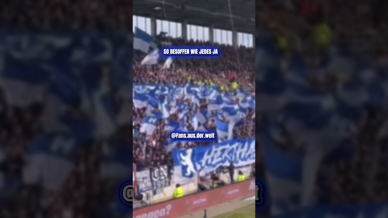 Berlins Nummer 1!!! #Short #Ultras #Hertha #Viral #Berlin