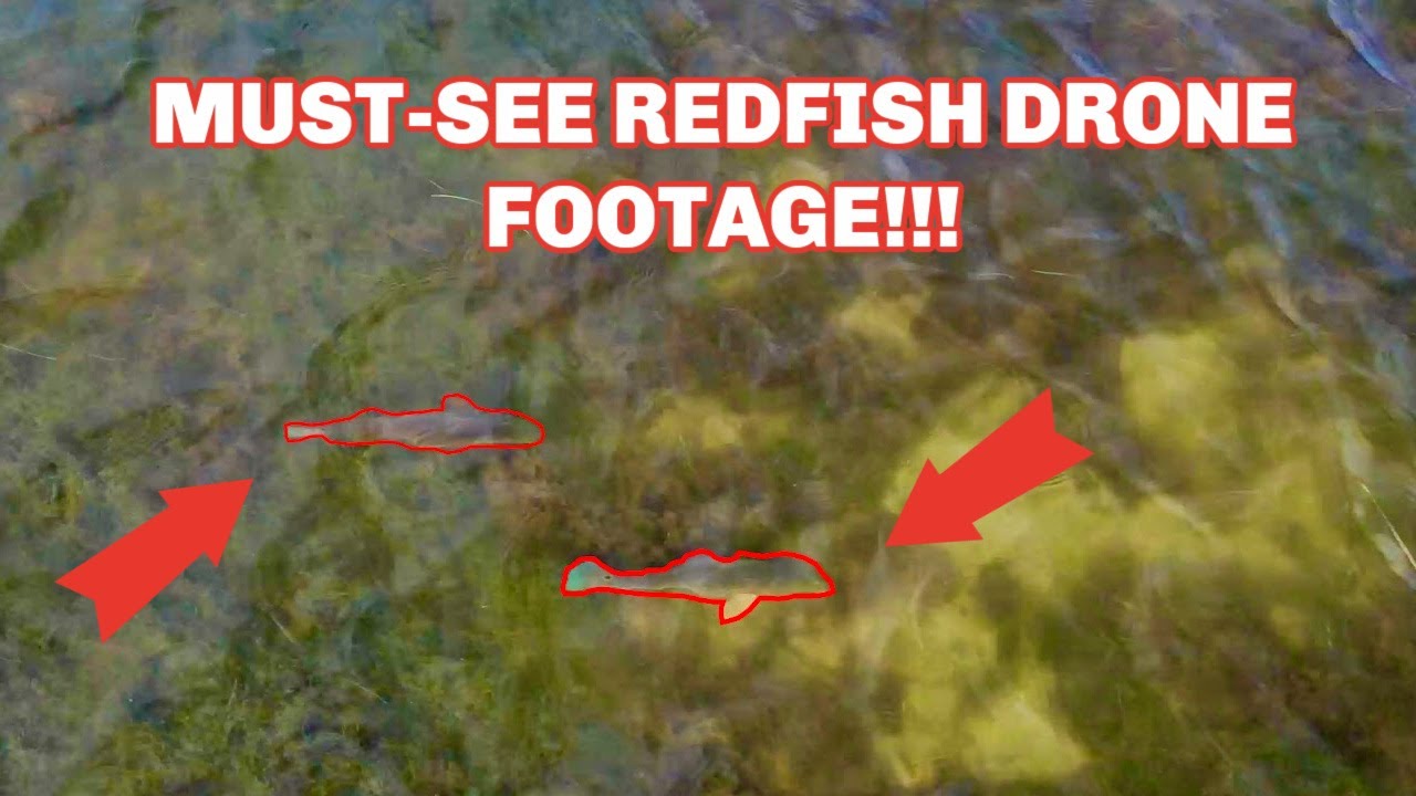 The 90-10 Rule With Redfish (Drone Footage Proof!!!)