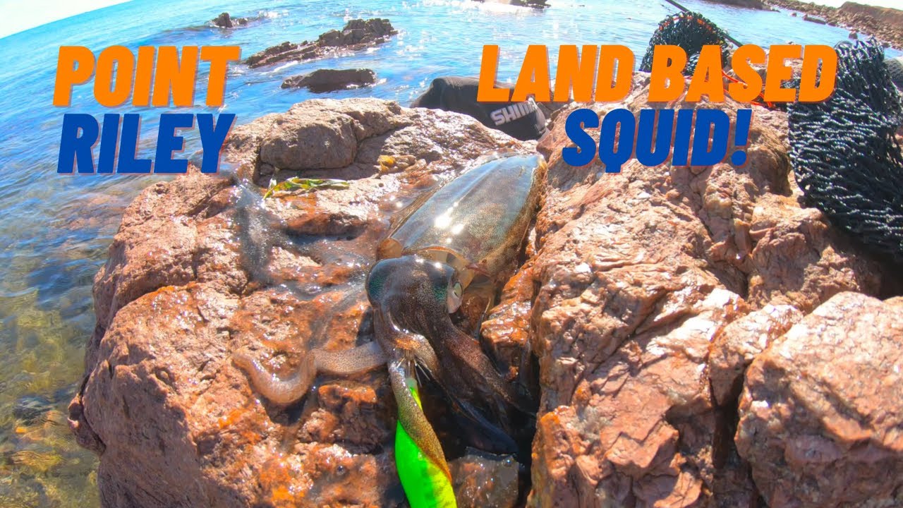 Point Riley Land Based SQUID | It Pays To Have a Backup Plan | Fishing South Australia