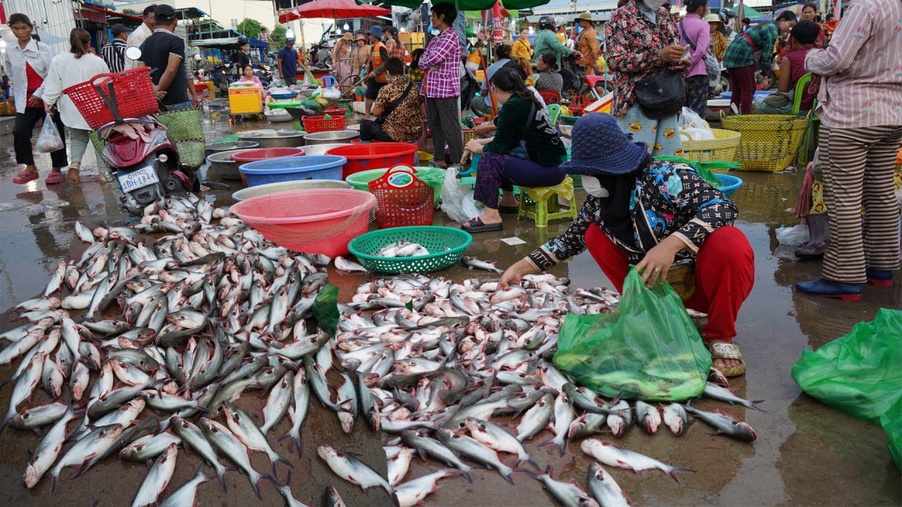 Cambodian Early Morning Fish Market - Daily Lifestyle of Vendors Selling Fish, Dry Fish, Seafood
