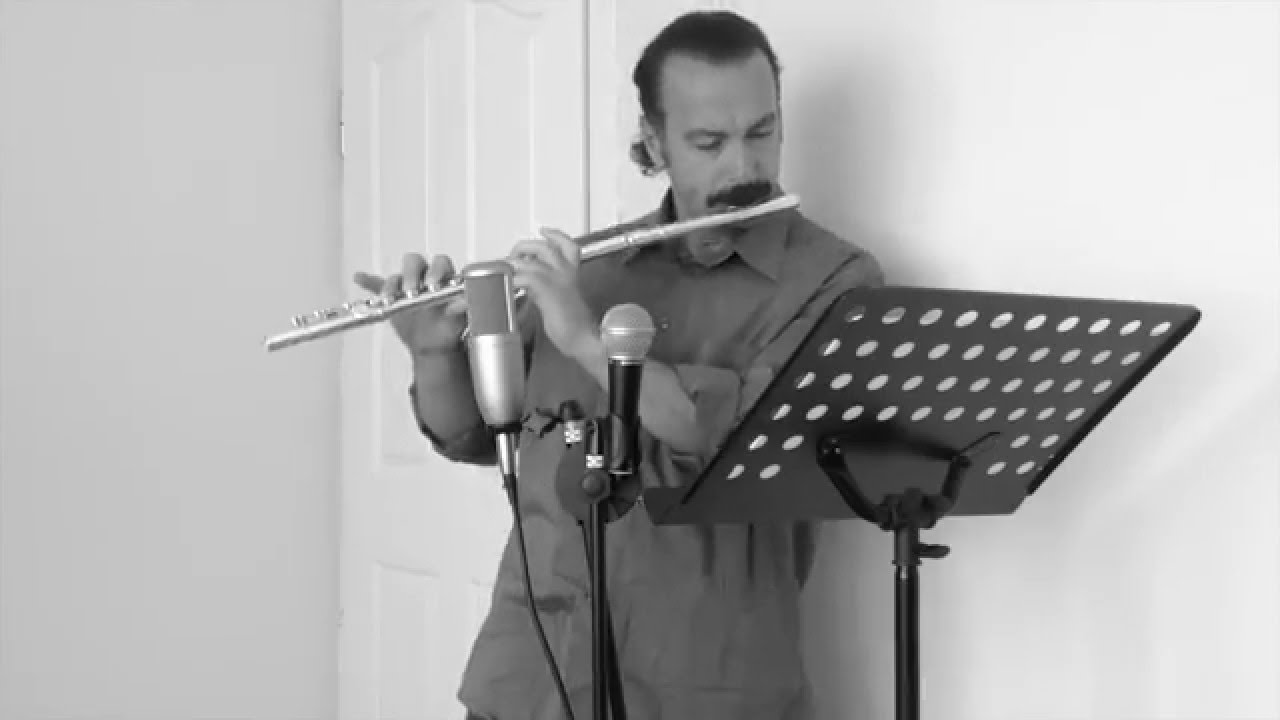 Love Theme from Romeo and Juliet by Flute