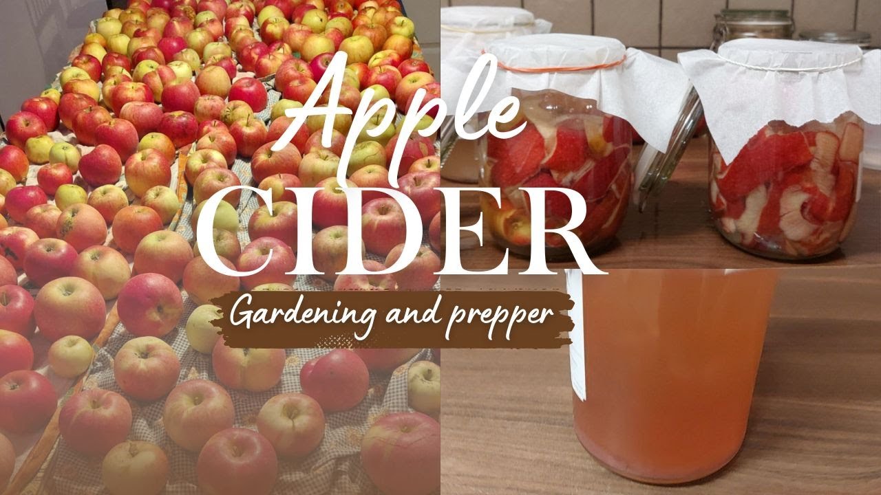 How to make an Organic Apple cider vinegar | Gardening and prepper